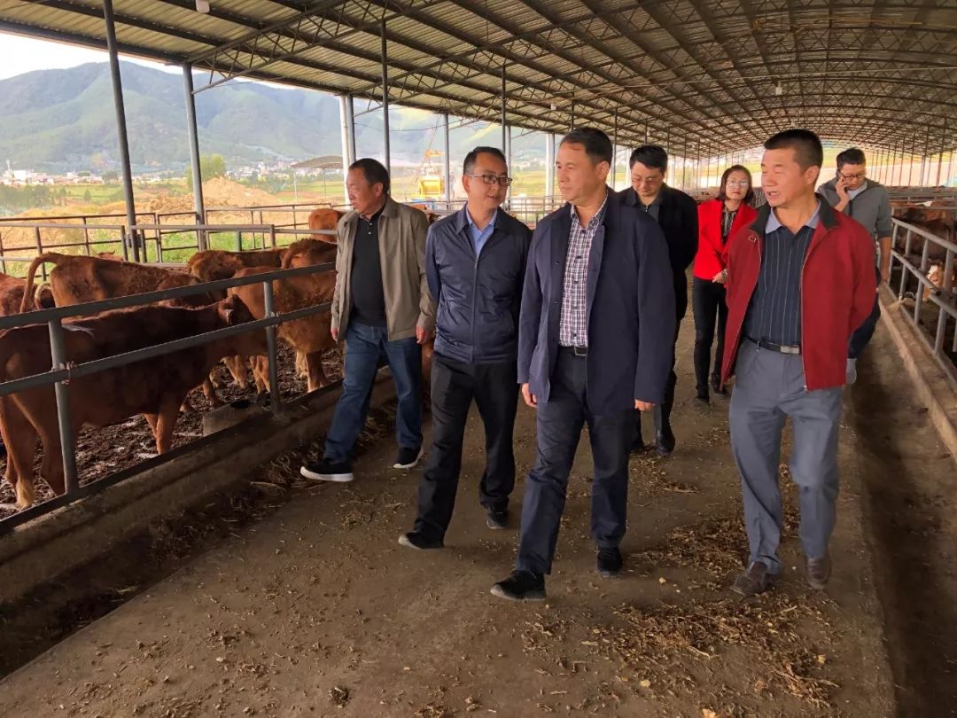 在永胜县委副书记熊洋,县委常委,副县长董承军等领导的陪同下,李根斌